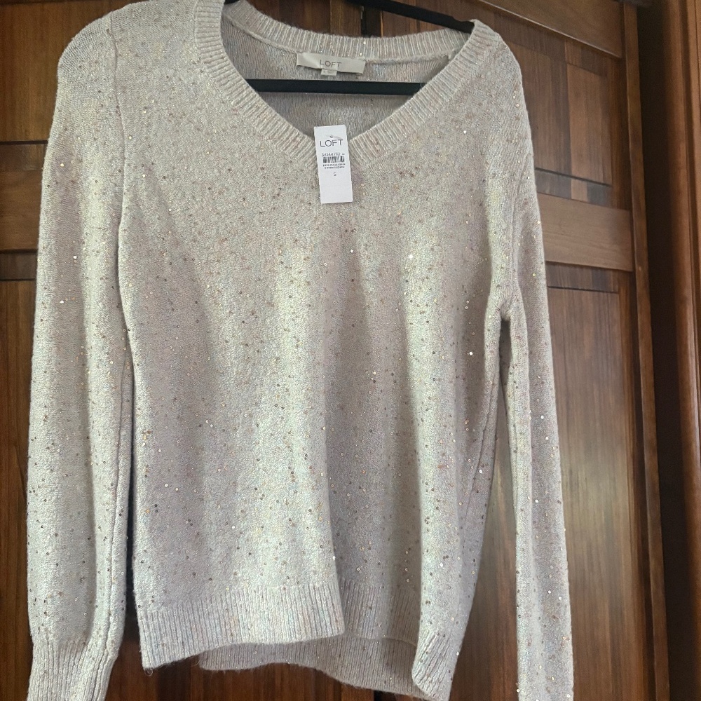 Loft Sequence sweater